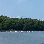 Przystantu! Brzyno
