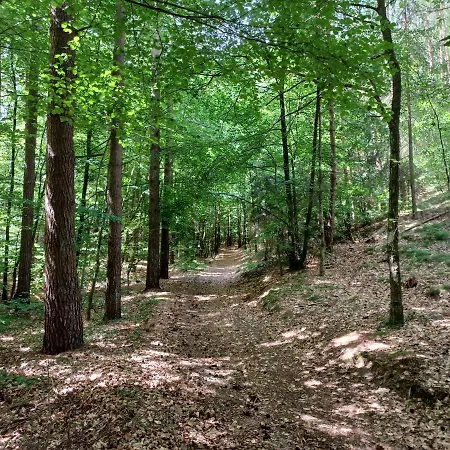 Lägenhet Przystantu! *