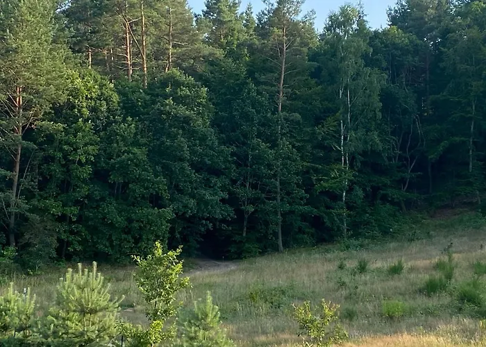 Przystańtu! Apartament Brzyno