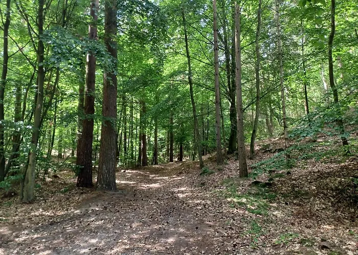 Przystantu! Apartmán Brzyno