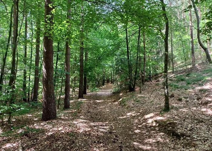 Apartament Przystańtu! *